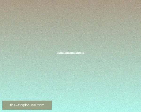 国王赐予的战甲与荣耀 女战士公主的命运与冒险之旅