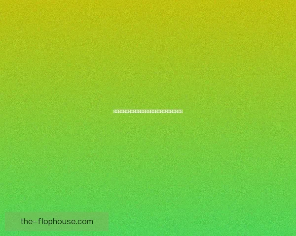 彩虹争霸赛：跨越七色光辉的极限挑战，勇者们的终极对决之旅